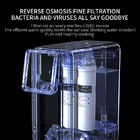 Countertop Rich Hydrogen Water Generator H2 Water Dispenser With RO Filter Purifiier