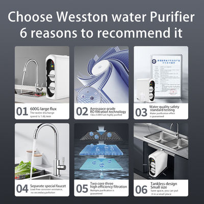 Viserton Or OEM Or ODM Instant Hot And Cold Ro Water Dispenser Kitchen Water Filter