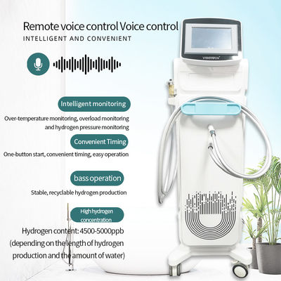Multifunction PEM Hydrogen Bath Machine with 220V-50Hz/60Hz Input Voltage 4500-5000ppb