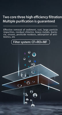 RO Water Dispenser Original Factory Made in China Good Price for Home Use Double Filter